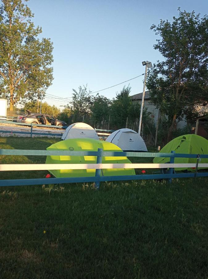 Camping Danubius トゥルチャ エクステリア 写真